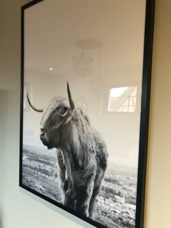 Gite Wellness Le Six H Andolsheim ภายนอก รูปภาพ